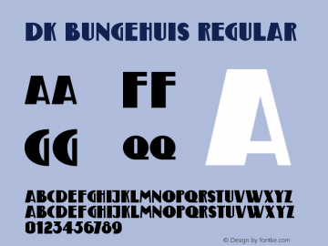 DK Bungehuis Regular Version 1.000图片样张