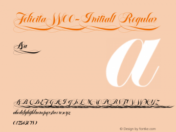 FelicitaW00-Initial1 Regular Version 1.00 Font Sample