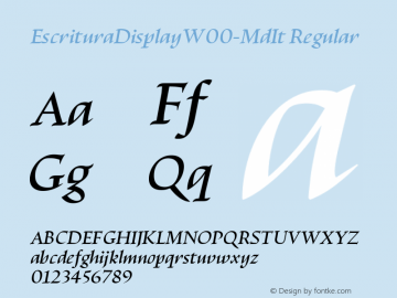 EscrituraDisplayW00-MdIt Regular Version 1.00图片样张