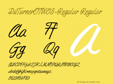 DuTurnerOTW03-Regular Regular Version 7.504 Font Sample