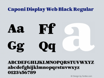 Caponi Display Web Black Regular Version 1.1 2013 Font Sample