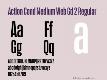 Action Cond Medium Web Gd 2 Regular Version 1.1 2015图片样张