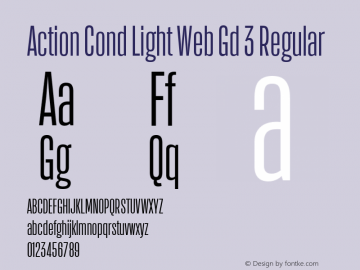 Action Cond Light Web Gd 3 Regular Version 1.1 2015图片样张