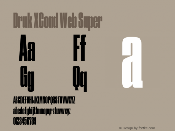 Druk XCond Web Super Version 1.1 2014图片样张