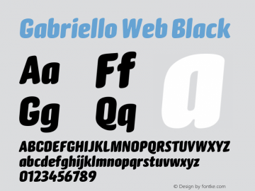 Gabriello Web Black Version 1.1 2014图片样张