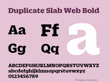 Duplicate Slab Web Bold Version 1.1 2013图片样张