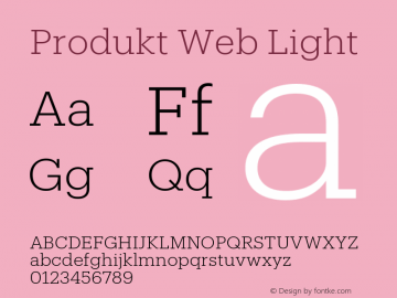 Produkt Web Light Version 1.1 2014图片样张