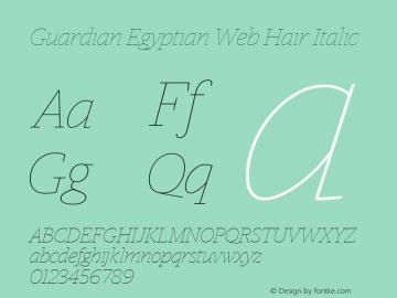 Guardian Egyptian Web Hair Italic Version 001.002 2009图片样张