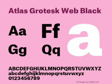 Atlas Grotesk Web Black Version 1.001 2012图片样张