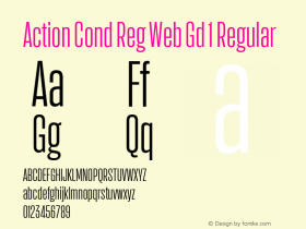 Action Cond Reg Web Gd 1 Regular Version 1.1 2015图片样张