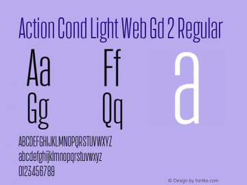 Action Cond Light Web Gd 2 Regular Version 1.1 2015图片样张