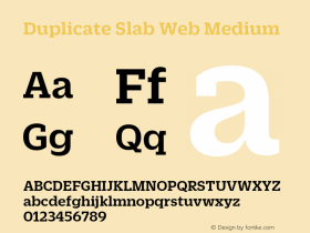 Duplicate Slab Web Medium Version 1.1 2013图片样张