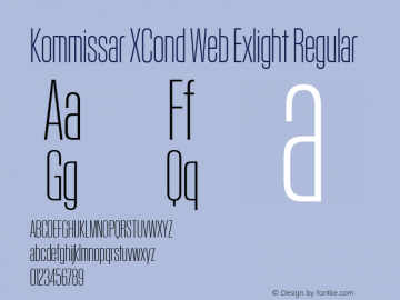 Kommissar XCond Web Exlight Regular Version 1.1 2011图片样张