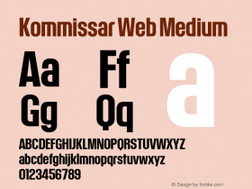 Kommissar Web Medium Version 1.1 2011图片样张