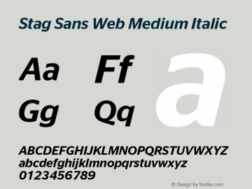 Stag Sans Web Medium Italic Version 1.1 2007 Font Sample