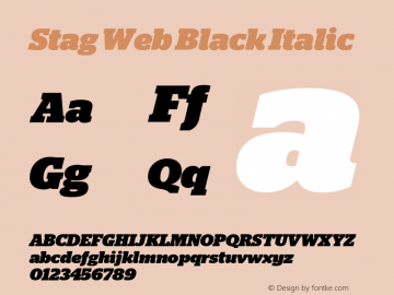 Stag Web Black Italic Version 2.1 2011图片样张
