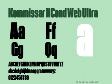 Kommissar XCond Web Ultra Version 1.1 2011图片样张