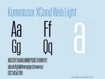 Kommissar XCond Web Light Version 1.1 2014图片样张